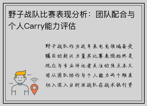 野子战队比赛表现分析：团队配合与个人Carry能力评估